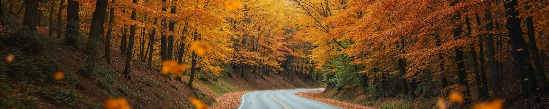 donde viajar en otoño