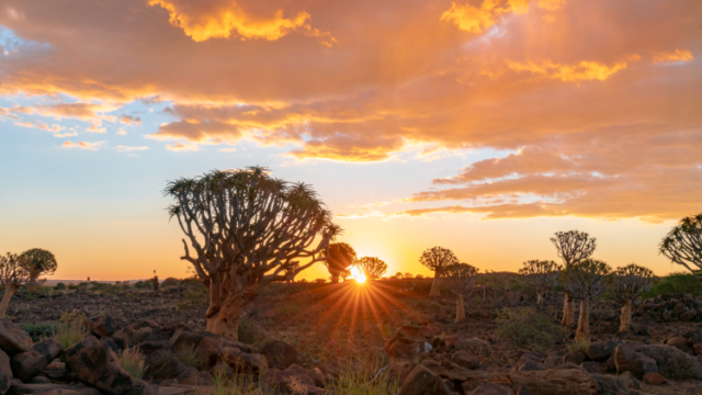 Viajar a Sudáfrica